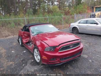  Salvage Ford Mustang