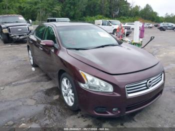  Salvage Nissan Maxima