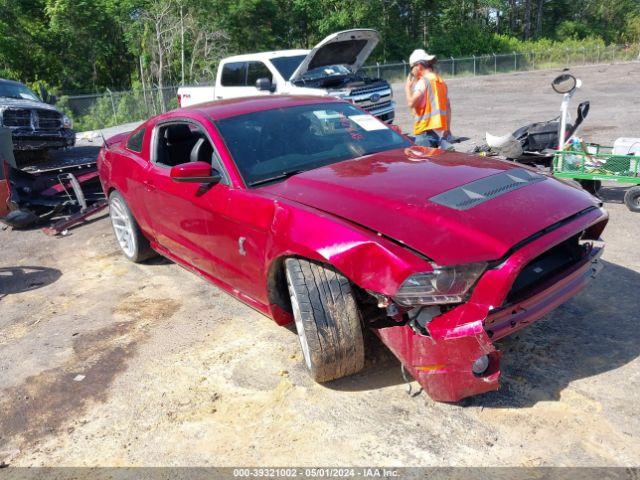  Salvage Ford Shelby Gt