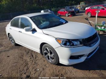  Salvage Honda Accord