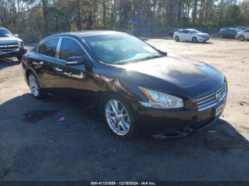  Salvage Nissan Maxima