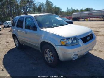  Salvage Ford Escape