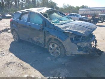  Salvage Ford Escape