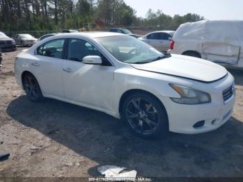  Salvage Nissan Maxima