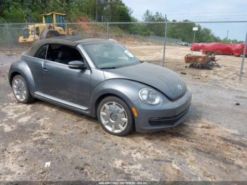  Salvage Volkswagen Beetle
