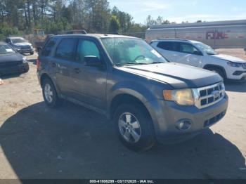  Salvage Ford Escape
