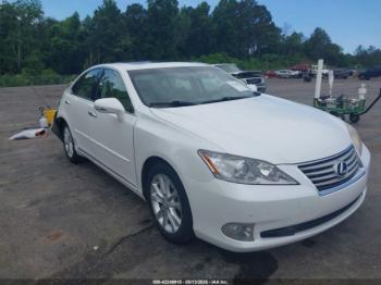  Salvage Lexus Es