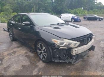  Salvage Nissan Maxima