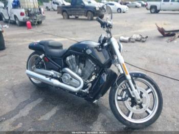  Salvage Harley-Davidson Vrscf