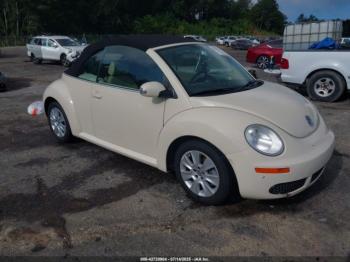  Salvage Volkswagen Beetle