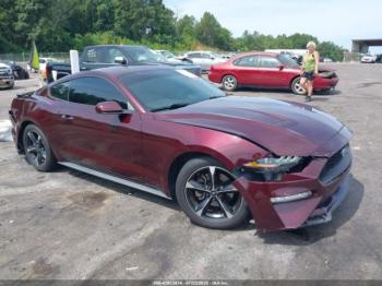  Salvage Ford Mustang