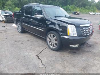  Salvage Cadillac Escalade