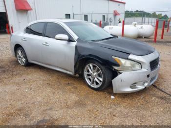  Salvage Nissan Maxima