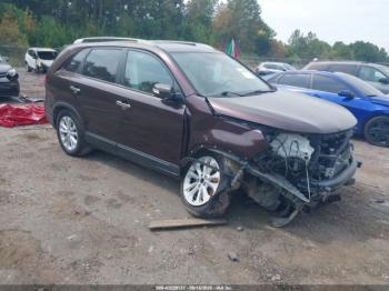  Salvage Kia Sorento
