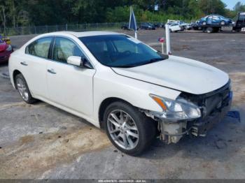  Salvage Nissan Maxima