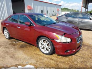 Salvage Nissan Maxima