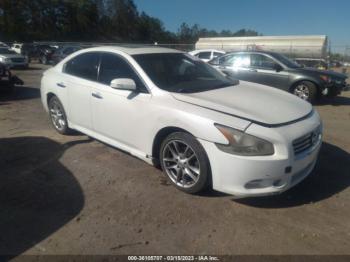  Salvage Nissan Maxima