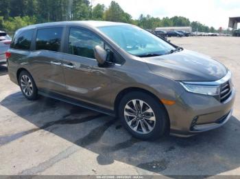 Salvage Honda Odyssey