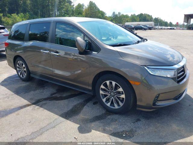  Salvage Honda Odyssey