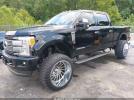 Ford F-250 Platinum Image 18