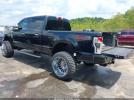 Ford F-250 Platinum Image 14
