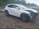 Lexus NX Image 1