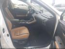 Lexus NX Image 11