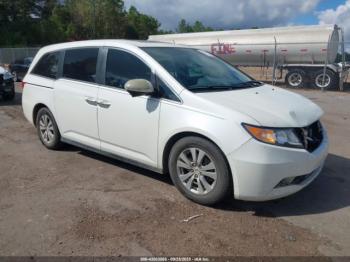  Salvage Honda Odyssey