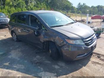  Salvage Honda Odyssey