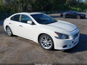  Salvage Nissan Maxima