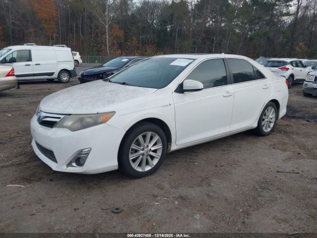 Toyota Camry Xle Image 2