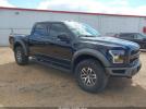 Ford F-150 Raptor Image 1