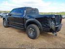 Ford F-150 Raptor Image 11