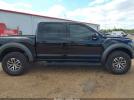 Ford F-150 Raptor Image 3