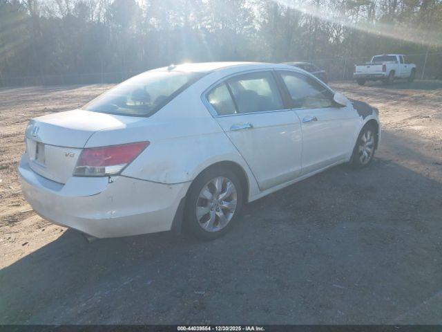 Honda Accord 3.5 Ex-l Image 6