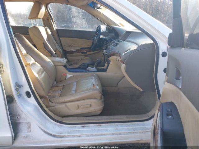 Honda Accord 3.5 Ex-l Image 10