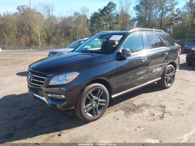 Mercedes-Benz M-Class Image 16