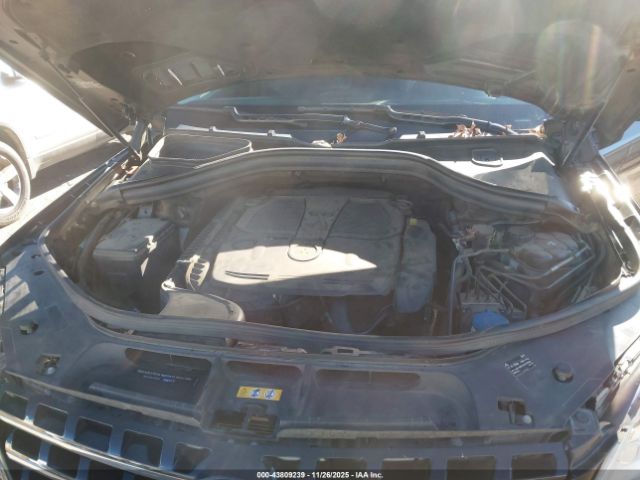 Mercedes-Benz M-Class Image 11