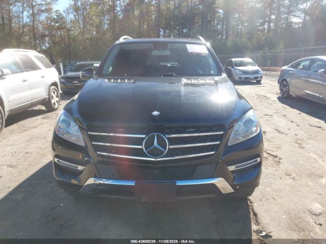 Mercedes-Benz M-Class Image 15