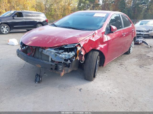 Toyota Corolla Le Image 10