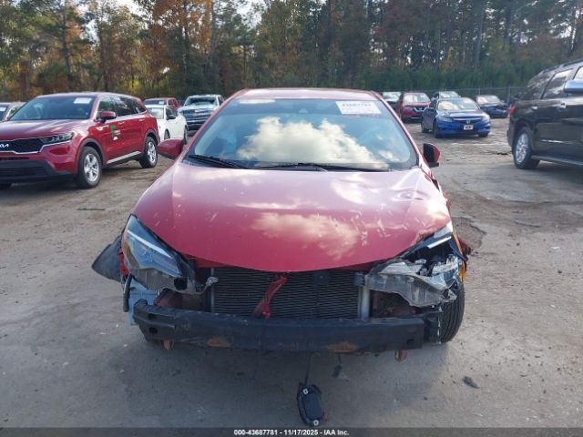 Toyota Corolla Le Image 2