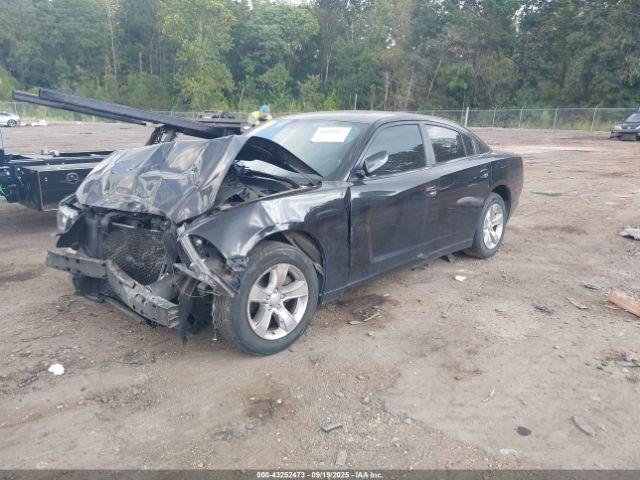 Dodge Charger Image 4