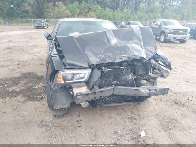 Dodge Charger Image 7