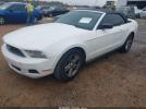 Ford Mustang V6 Image 16