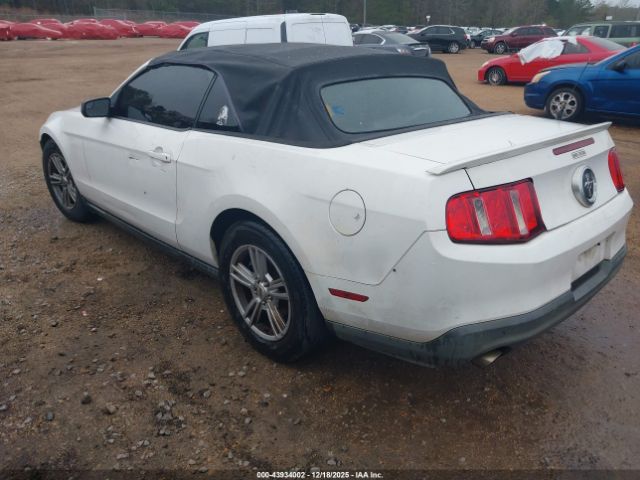 Ford Mustang V6 Image 15