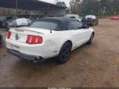Ford Mustang V6 Image 17
