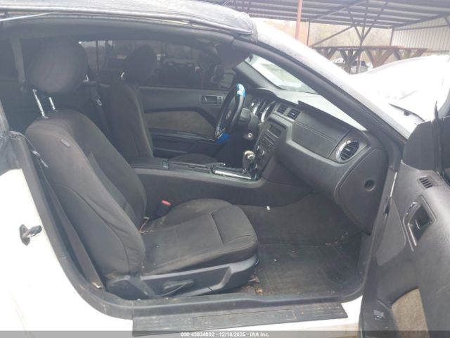 Ford Mustang V6 Image 14