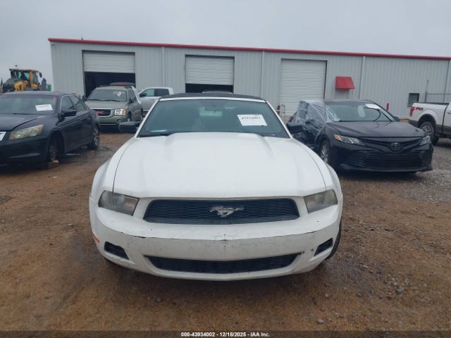 Ford Mustang V6 Image 4