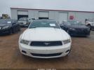 Ford Mustang V6 Image 4
