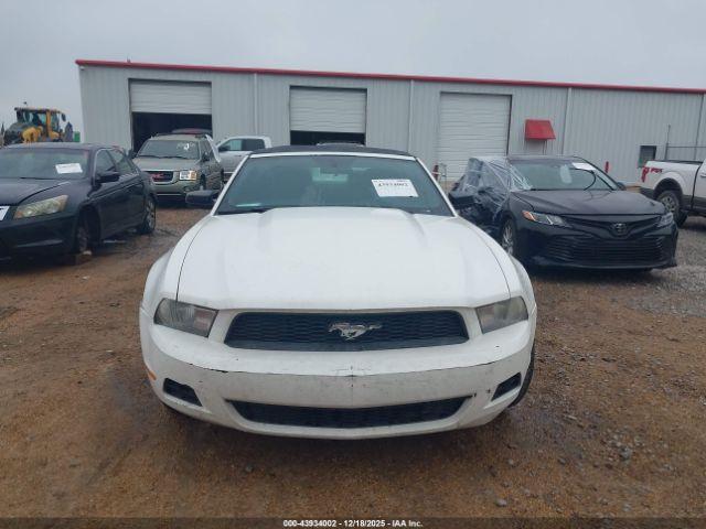 Ford Mustang V6 Image 4
